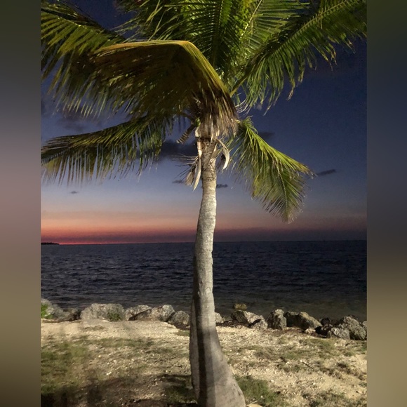 Meet your Posher, Laurie - Picture 1 of 1